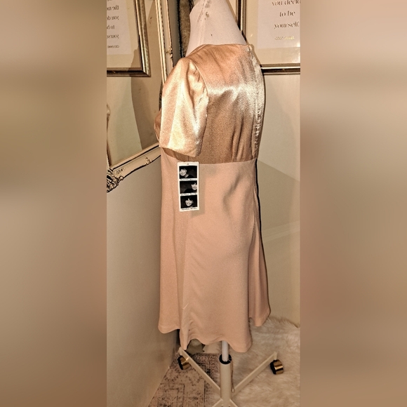 Donna Ricco New York Petite Short Sleeve Midi Semi Formal Dress Copper Pink sz 4 - Picture 7 of 11